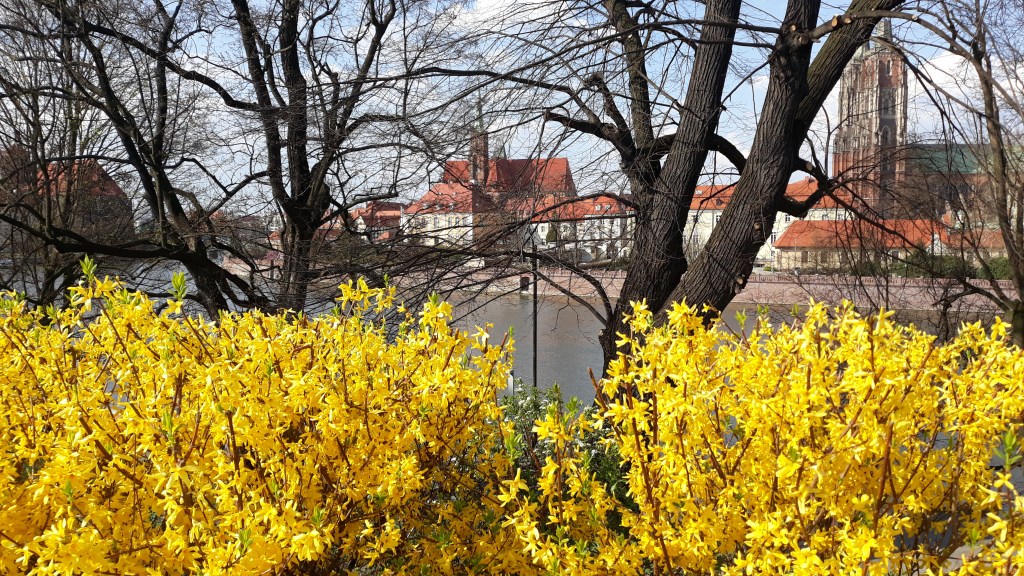 Βρότσλαβ ή αλλιώς παραμυθοχώρα –&nbsp;Wroclaw